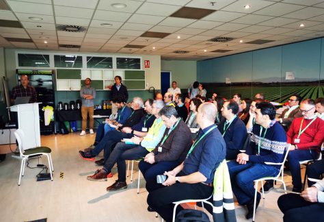 Imagen de la noticia Experiencia Florette: digitalización al servicio de la estandarización y control de procesos