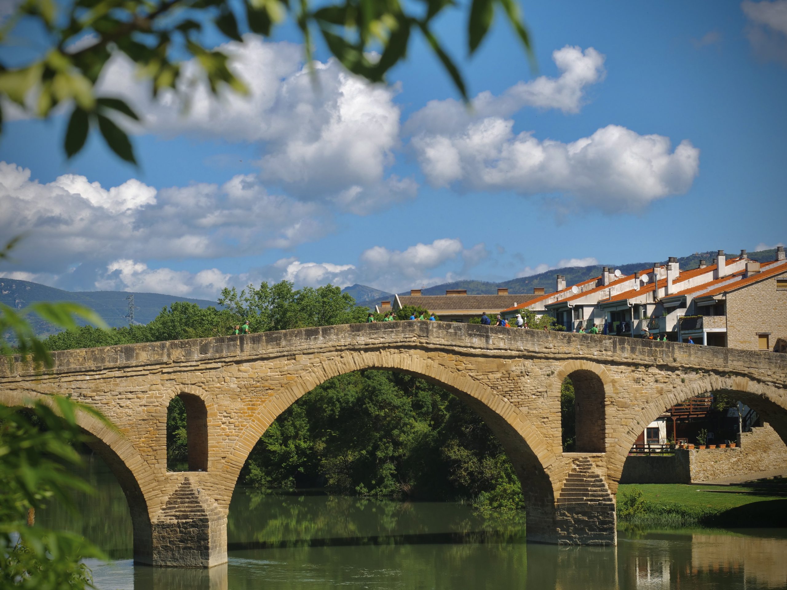 V_Carrera_Seguridad_Laboral_19